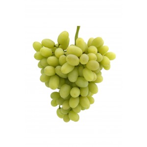 Seedless Green Grapes