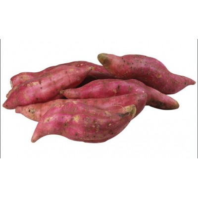 Sweet Potato, 1 ct