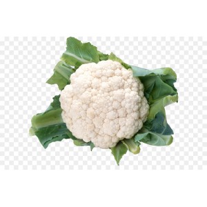 White Cauliflower