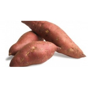 Red Sweet Potatoes, 1 ct