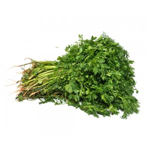 Fresh Escarole