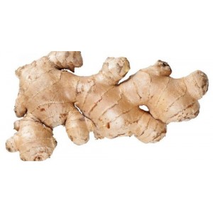 Ginger Root