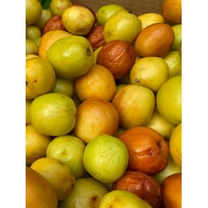 Spaghetti Squash, 1 ct