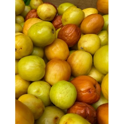 Spaghetti Squash, 1 ct