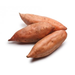 Fresh Yucca, 1 ct