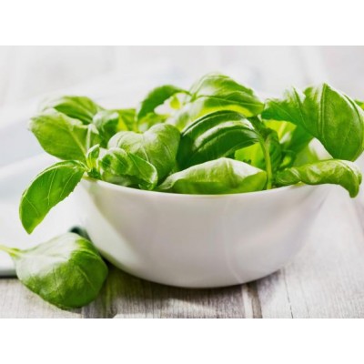 Fresh Basil in Bag