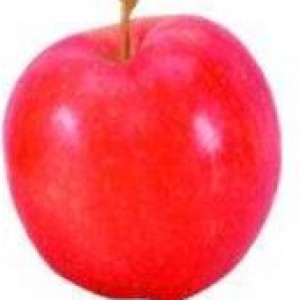 Organic Gala Apple, 1 ct