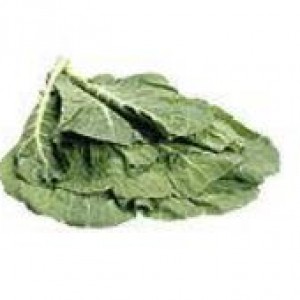 Organic Green Chard