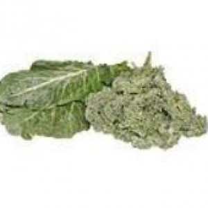 Organic Collard Greens