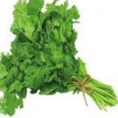 Organic Cilantro