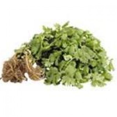 Organic Curly Parsley, 1 ct