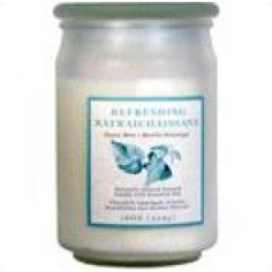 Star Candle Company L.L.C Frosted Apothecary Jar Candle