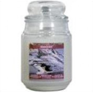 Star Candle Company L.L.C Lytes Apothecary Jar Mahogany Beachwood Candle