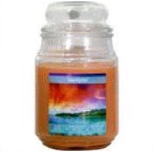 Star Candle Company L.L.C Island Escape Apothecary Jar Candle
