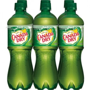 Canada Dry Ginger Ale - 6 Pack Bottles