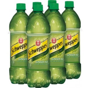 Schweppes Ginger Ale - 6 Pack Bottles
