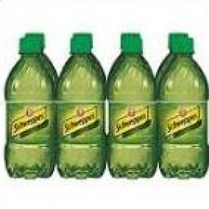 Schweppes Ginger Ale - 8 Pack Bottles