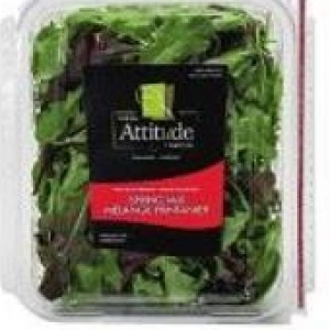 Fresh Attitude Spring Mix