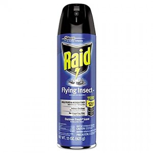 Raid Flying Insect Killer - Outdoor Fresh Scent